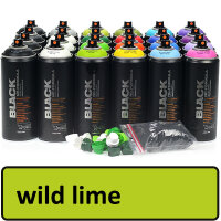 Spray paint wild lime (6015) 400 ml