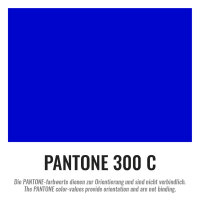 Plastic film hand banner fire retardant 90x75cm (horizontal format) - blue