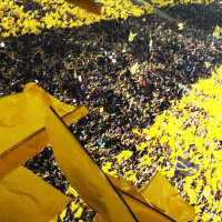 Plastic film flag (upright format) 75x50 Yellow