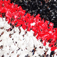 Plastic film flag fire retardant (upright format) 75x50 White